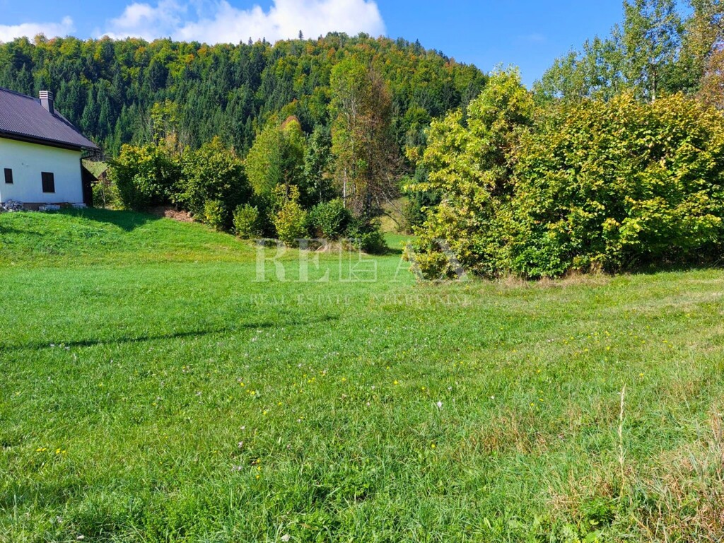 Image 5923294 - 2