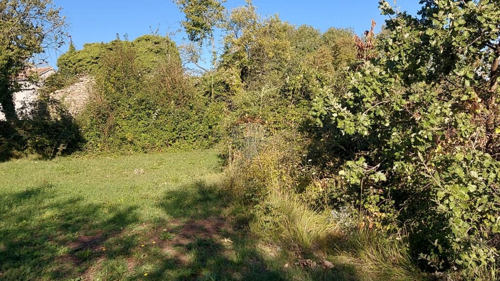 Image 5923384 - 11