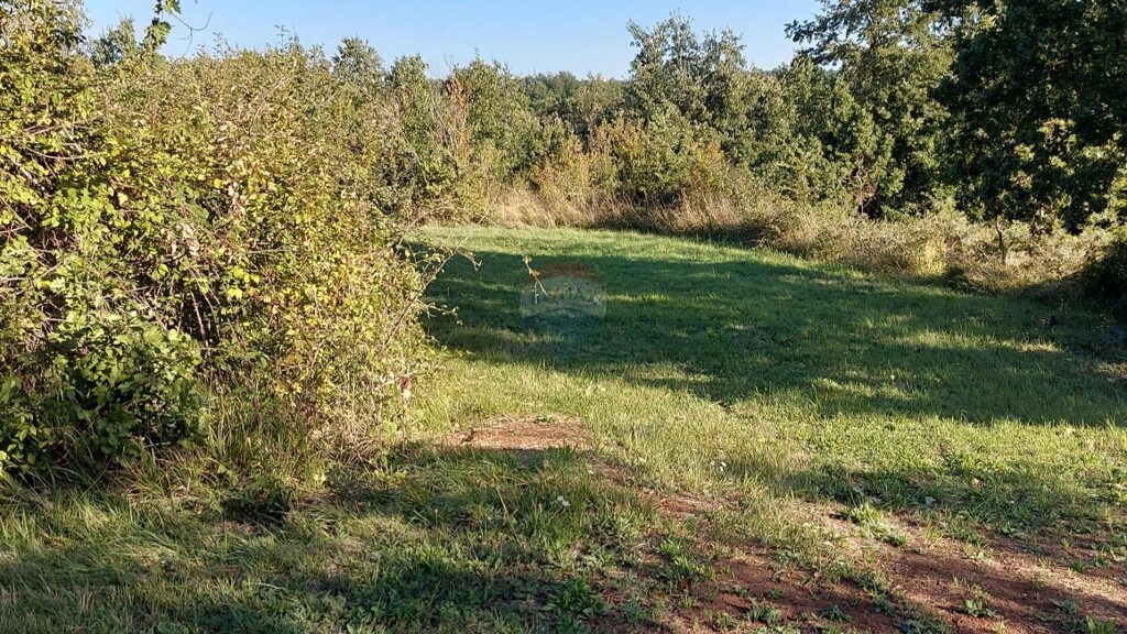Image 5923384 - 6