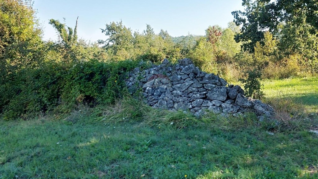 Image 5923384 - 14