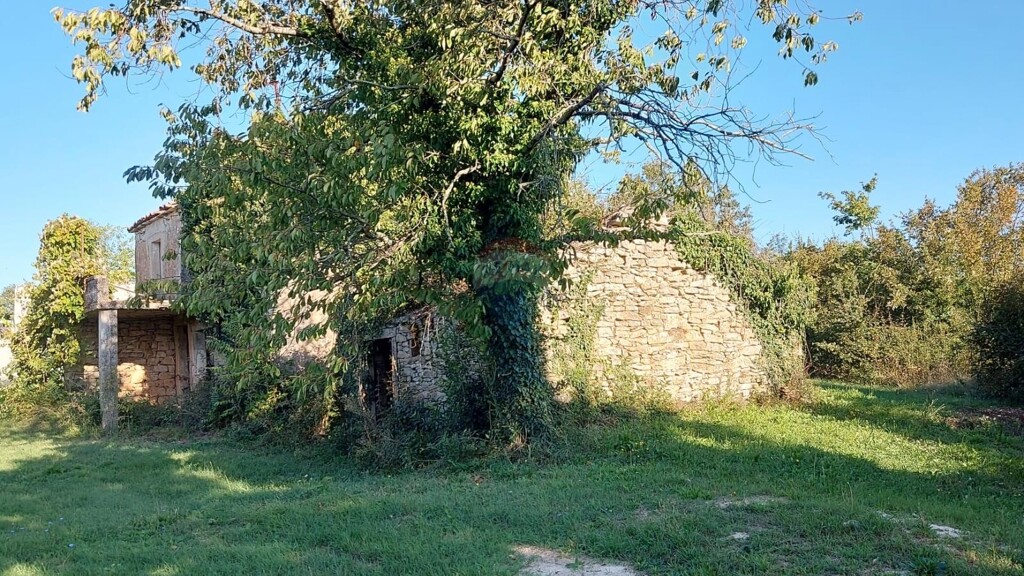 Image 5923384 - 15