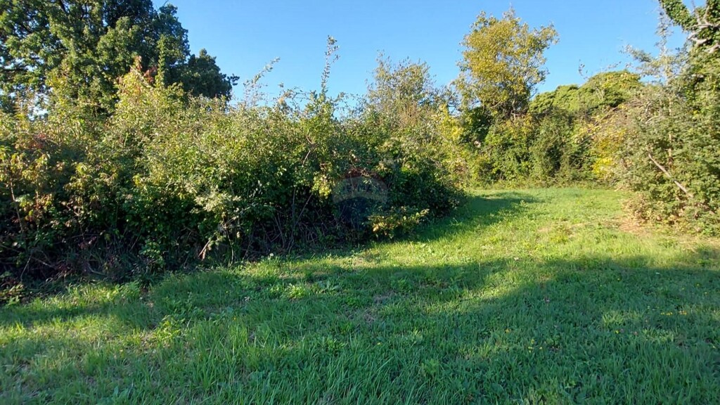 Image 5923384 - 9