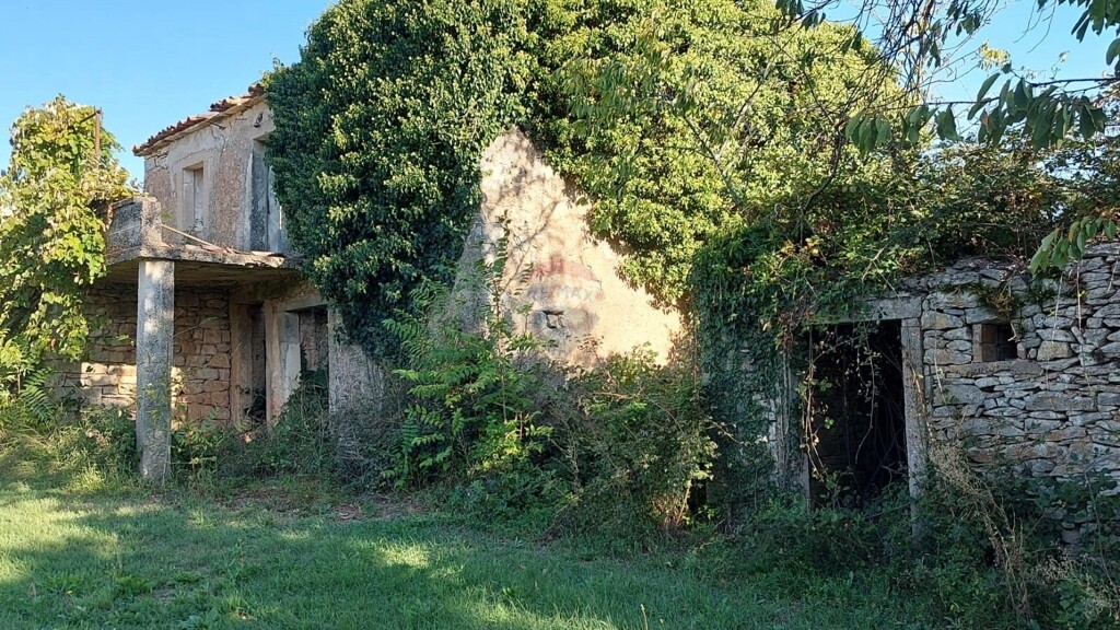 Image 5923384 - 1