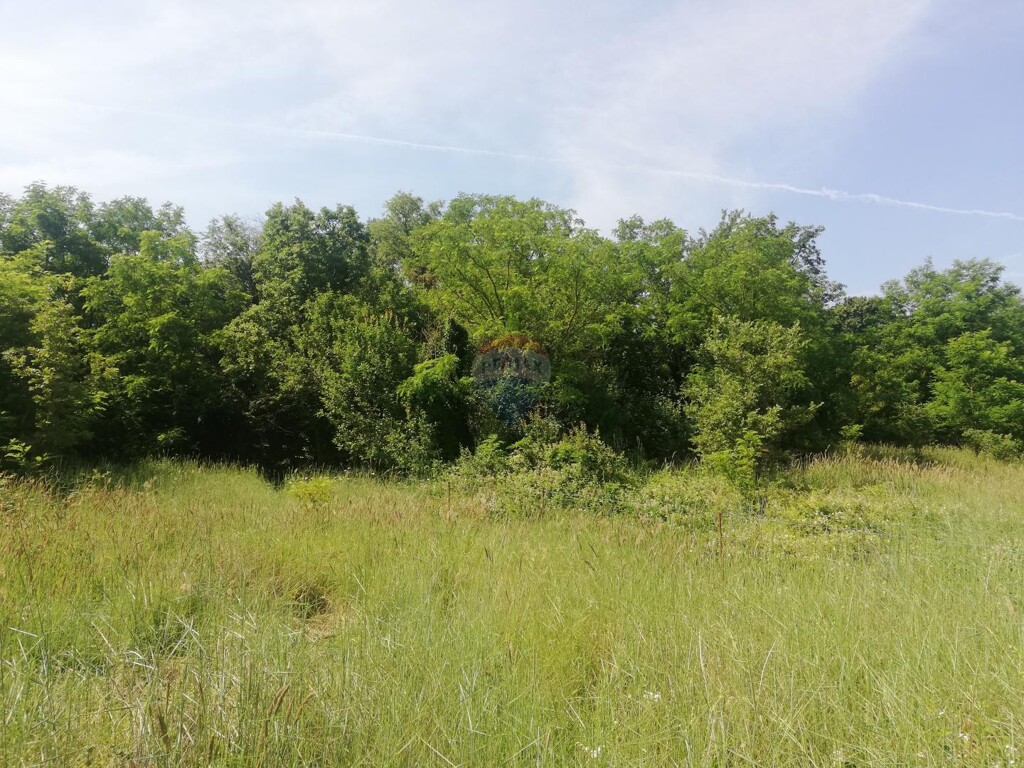 Image 5928995 - 3