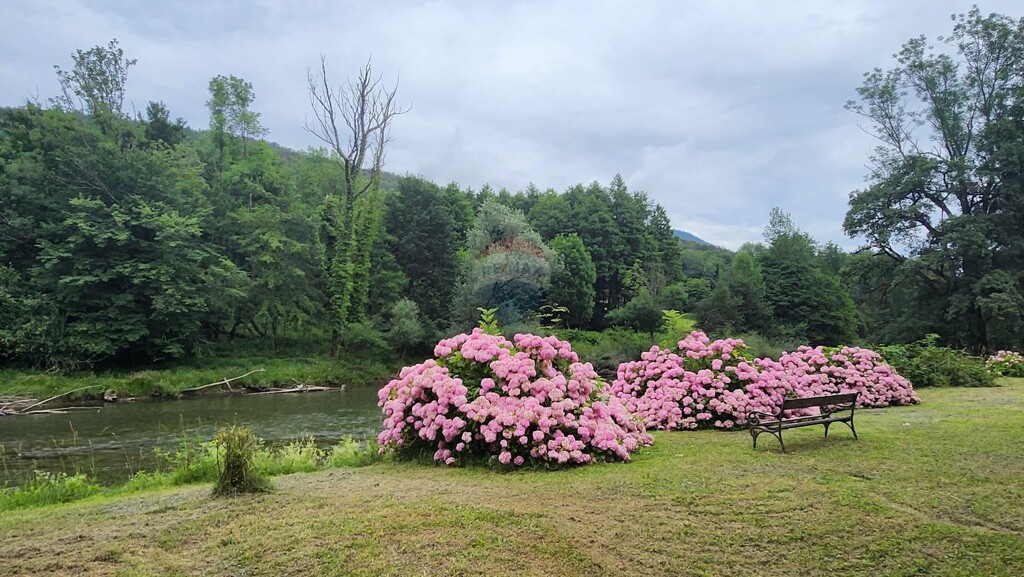 Image 5928996 - 8