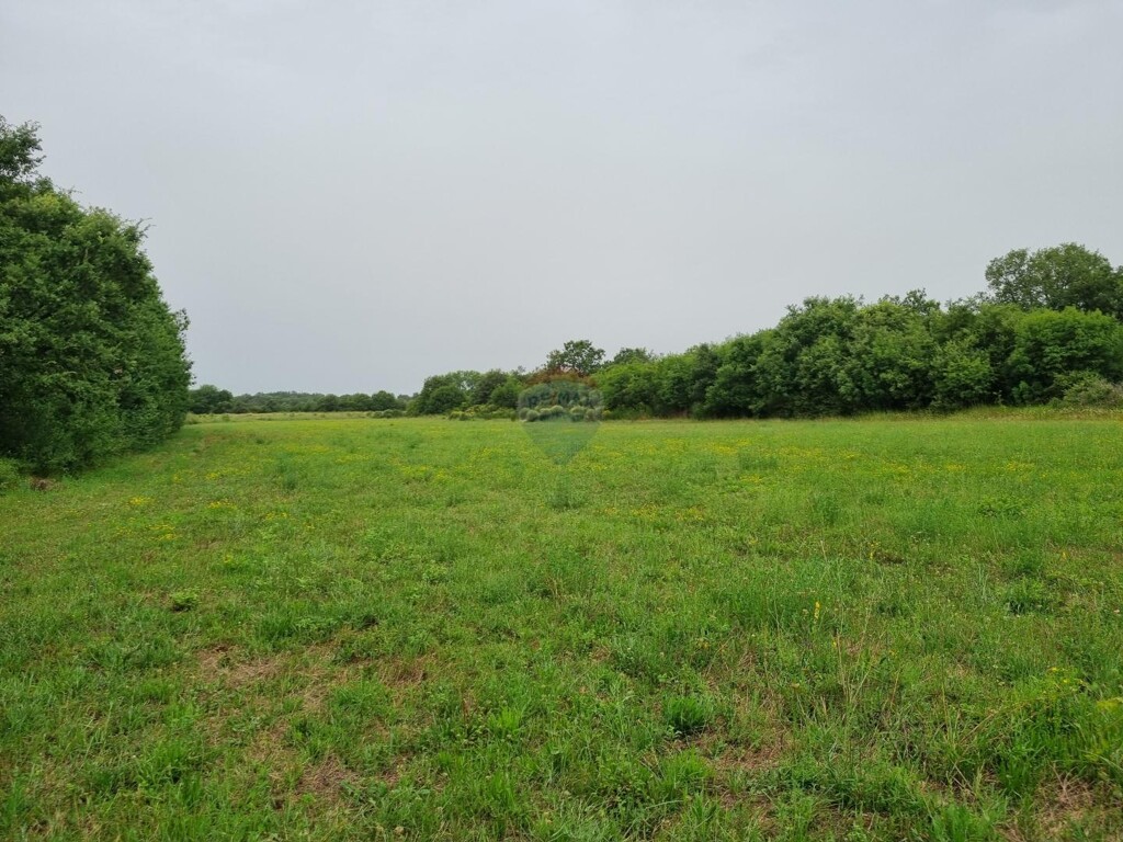 Image 5928998 - 2