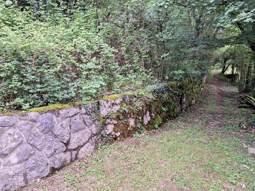 Image 5929001 - 1