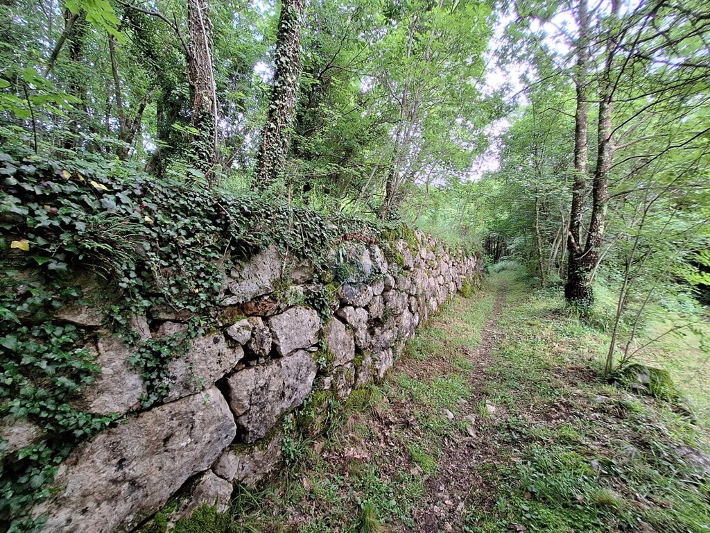 Image 5929001 - 2