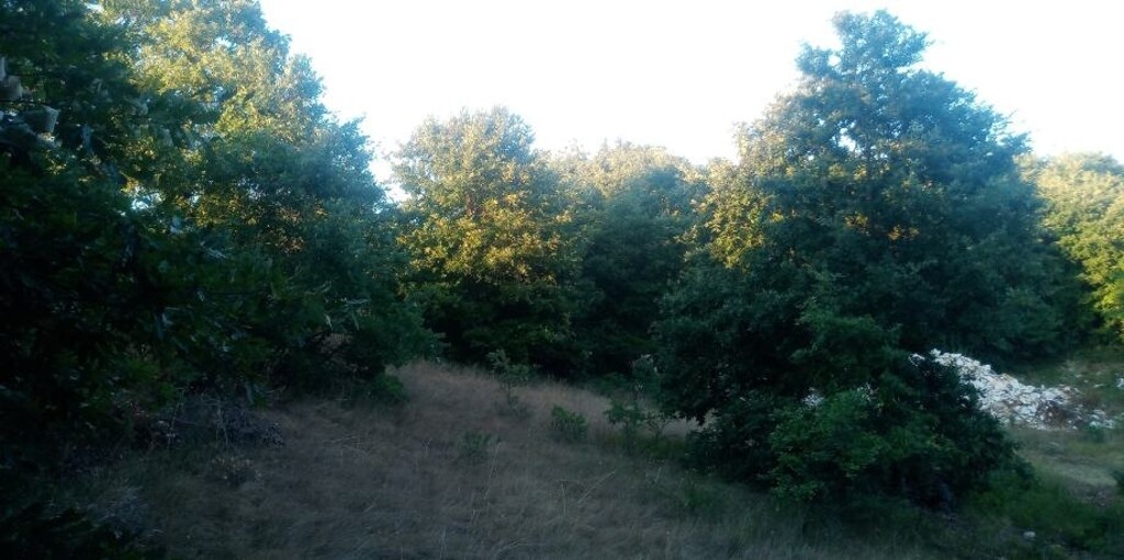 Image 5929279 - 3