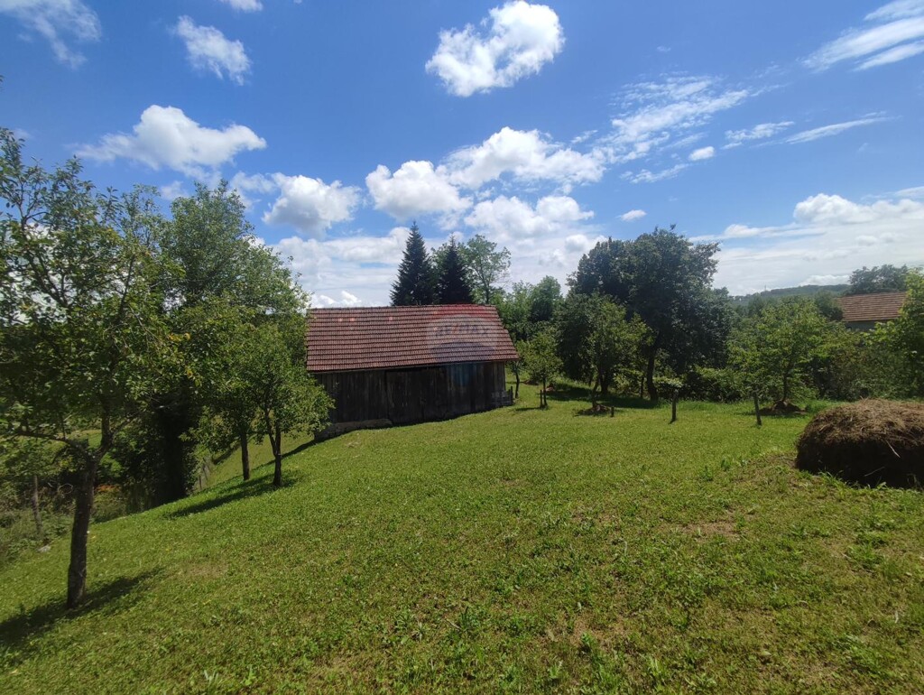 Image 5929991 - 10