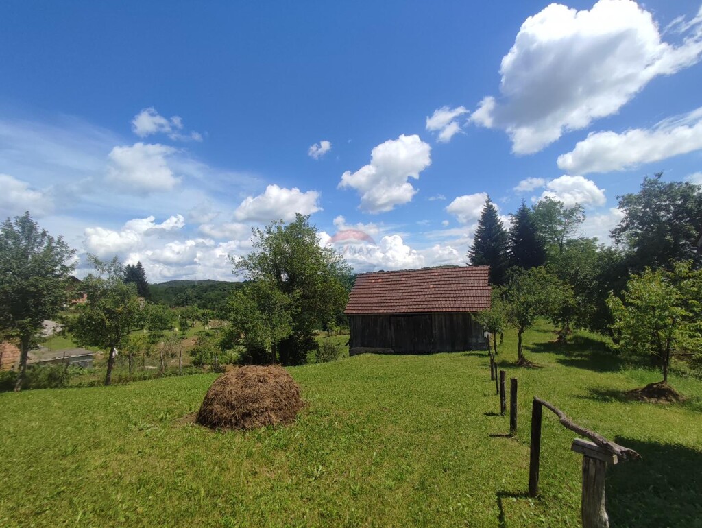 Image 5929991 - 1
