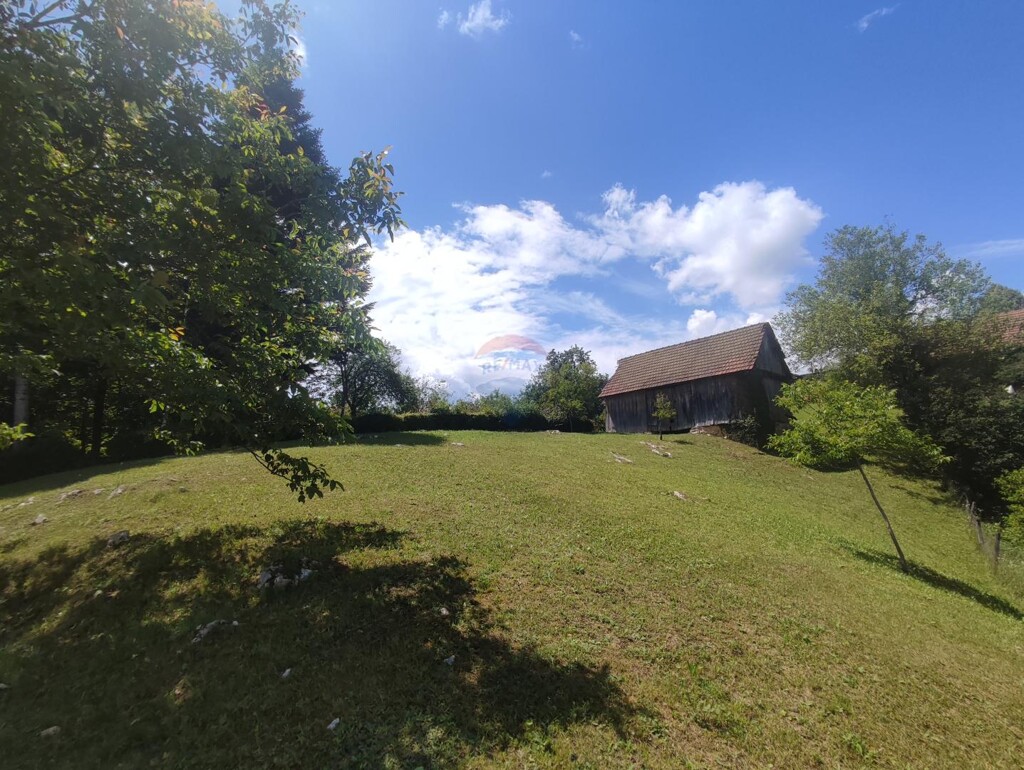 Image 5929991 - 4