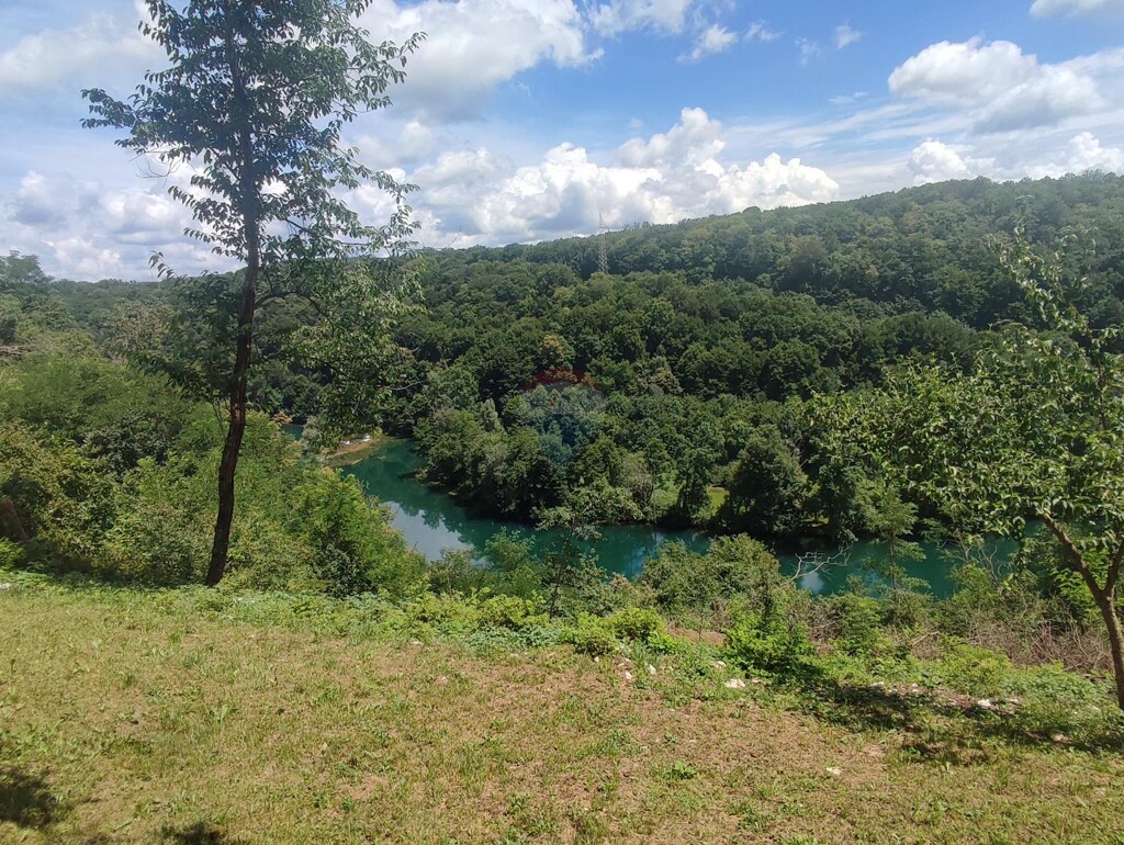 Image 5929991 - 3