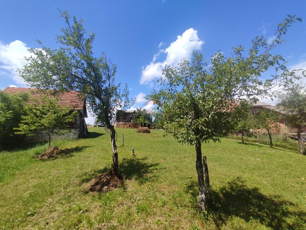 Image 5929991 - 2