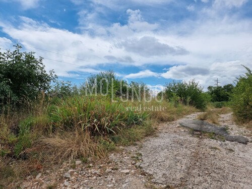 Thumbnail 5930811 - 1