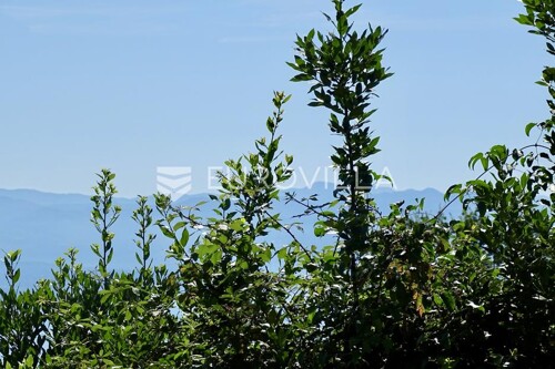 Thumbnail 5932943 - 2