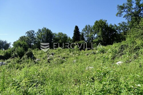 Thumbnail 5932943 - 3