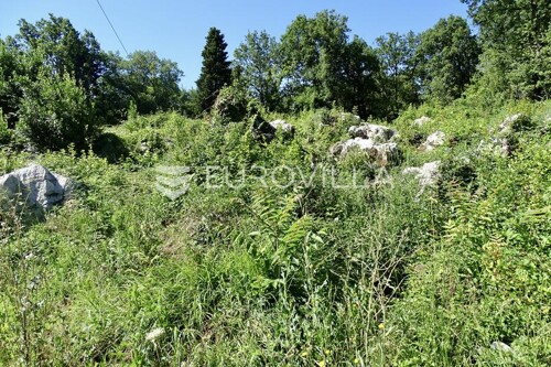 Thumbnail 5932943 - 5