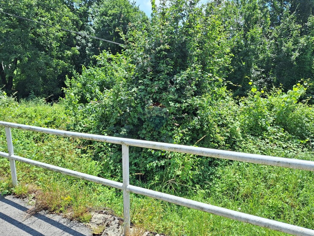 Image 5933171 - 2