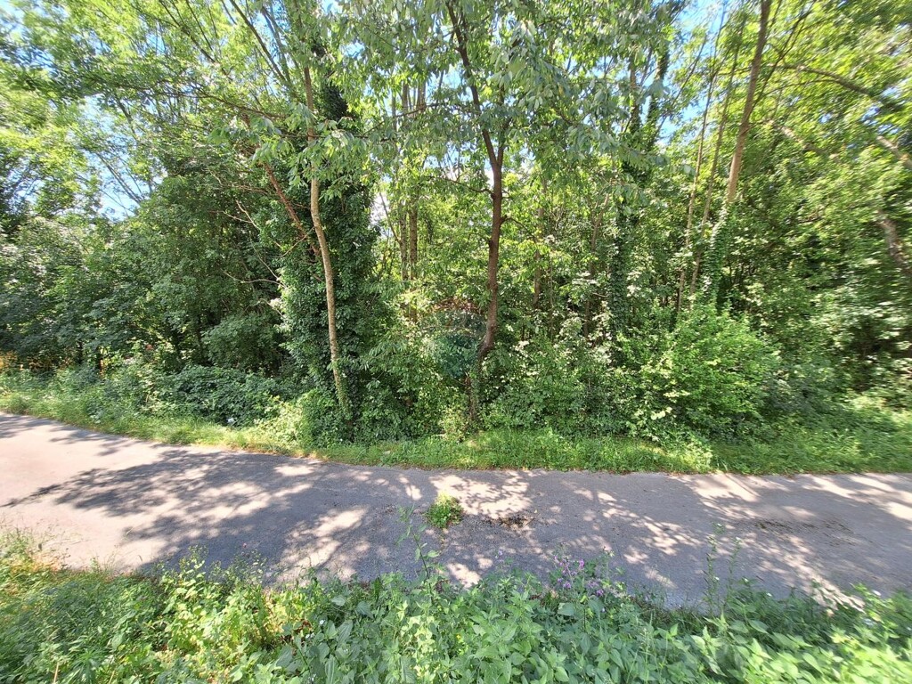 Image 5933171 - 1