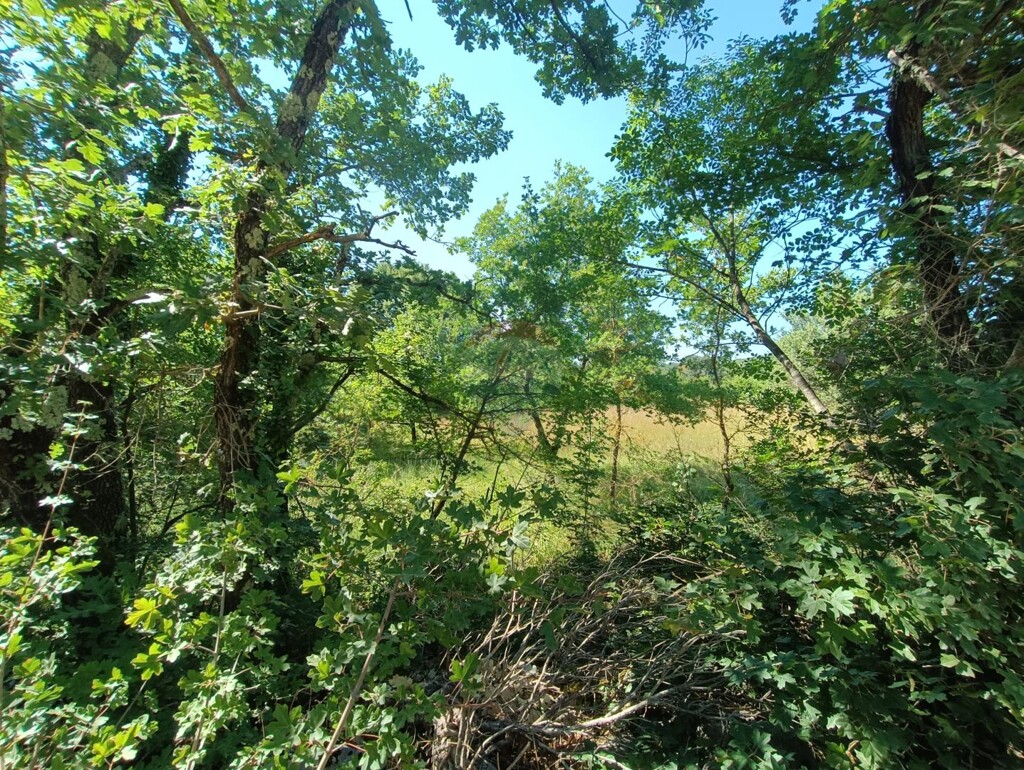 Image 5933176 - 3