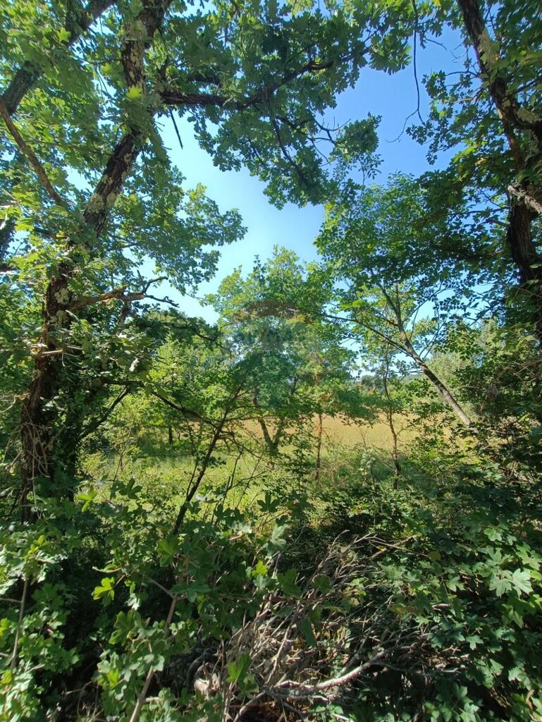 Image 5933176 - 1