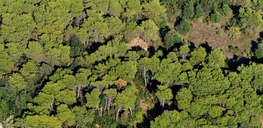 Image 5933424 - 1