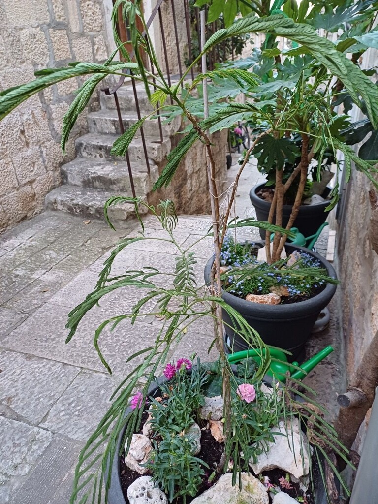 Image 5937708 - 6