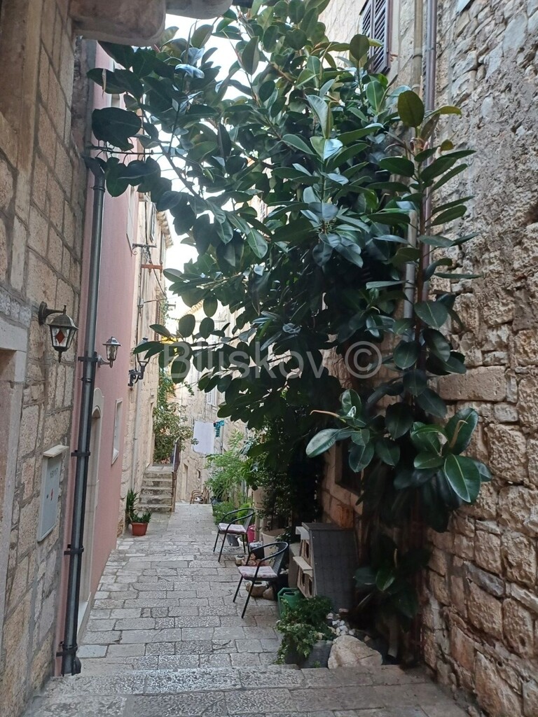 Image 5937708 - 8