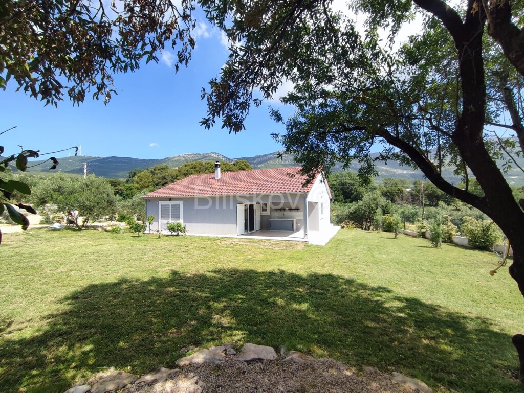 Image 5937711 - 2