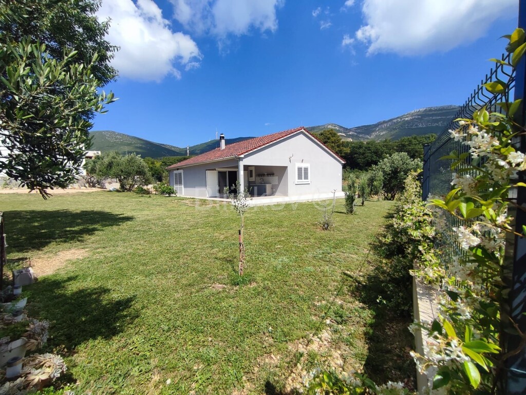 Image 5937711 - 1