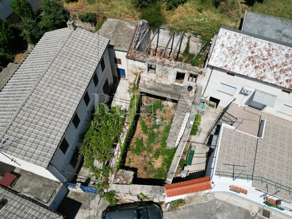 Image 5937968 - 3