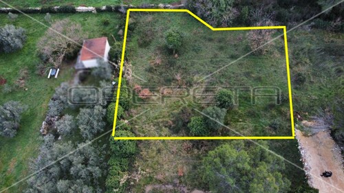 Thumbnail 5937970 - 1