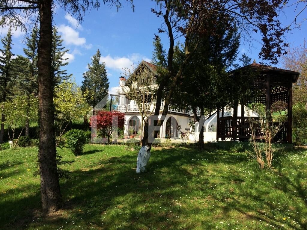Image 5938081 - 3