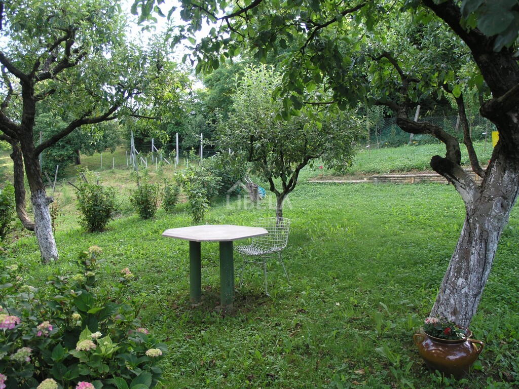 Image 5938081 - 6