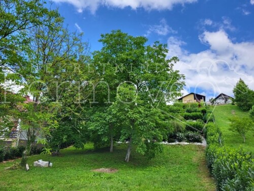 Thumbnail 5938140 - 4