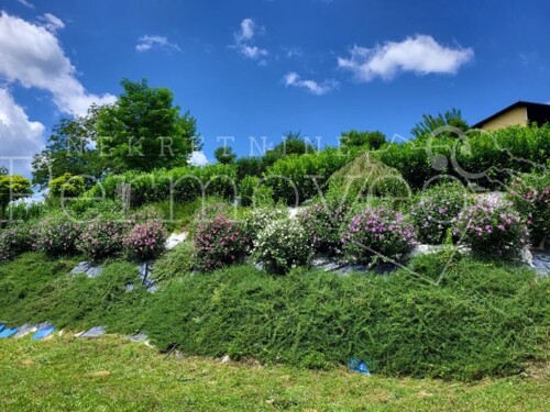 Thumbnail 5938140 - 5