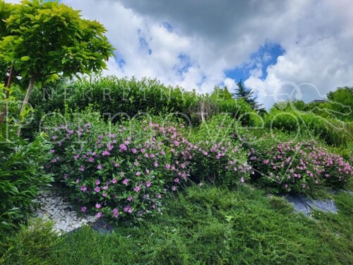 Thumbnail 5938140 - 3