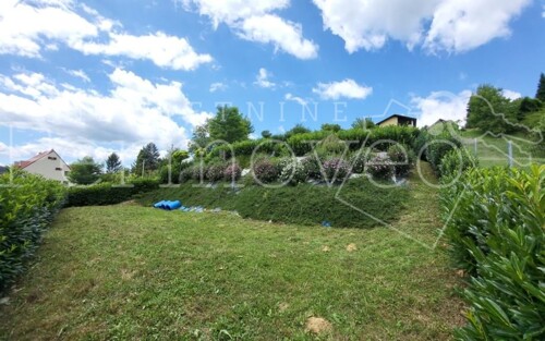 Thumbnail 5938140 - 6