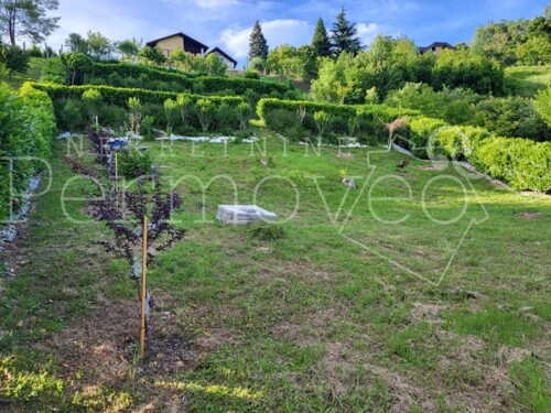 Thumbnail 5938140 - 7