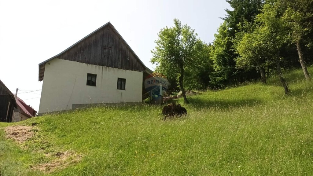 Image 5938301 - 1