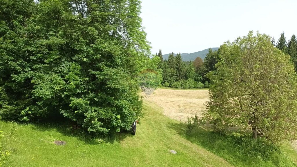 Image 5938301 - 6