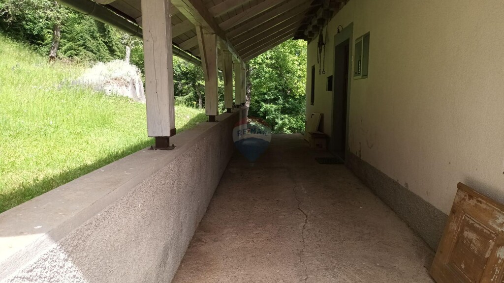 Image 5938301 - 3