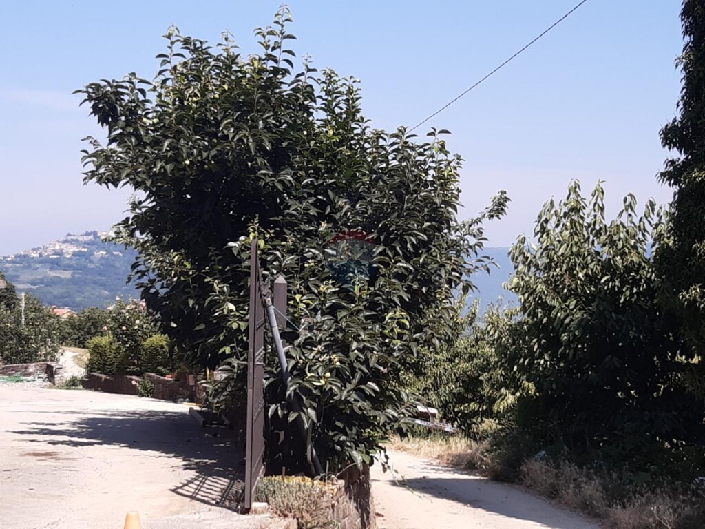 Image 5938307 - 16