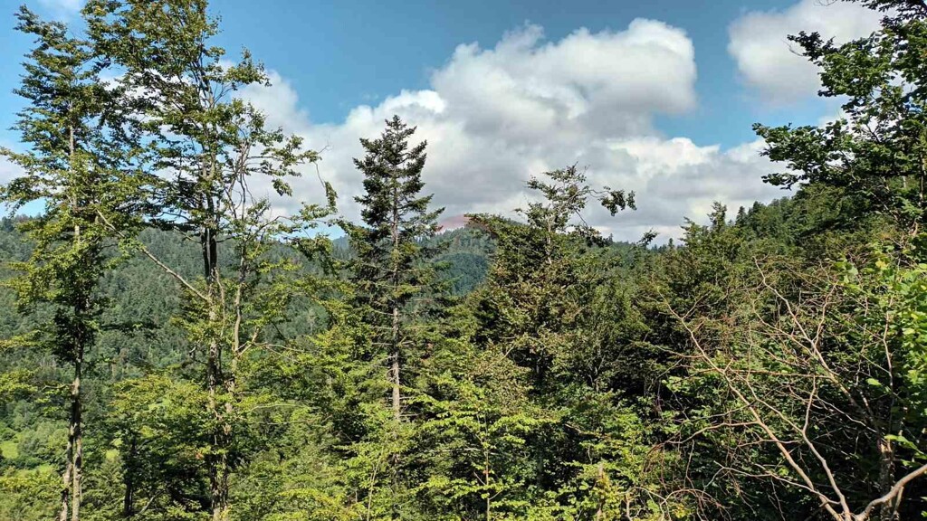 Image 5938315 - 3
