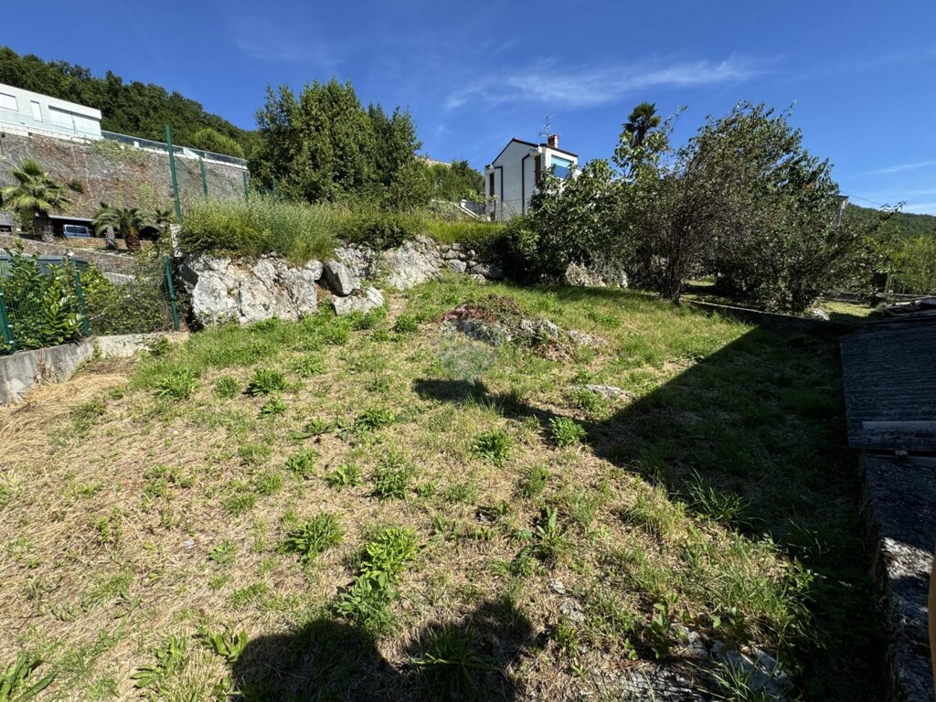 Image 5938328 - 3
