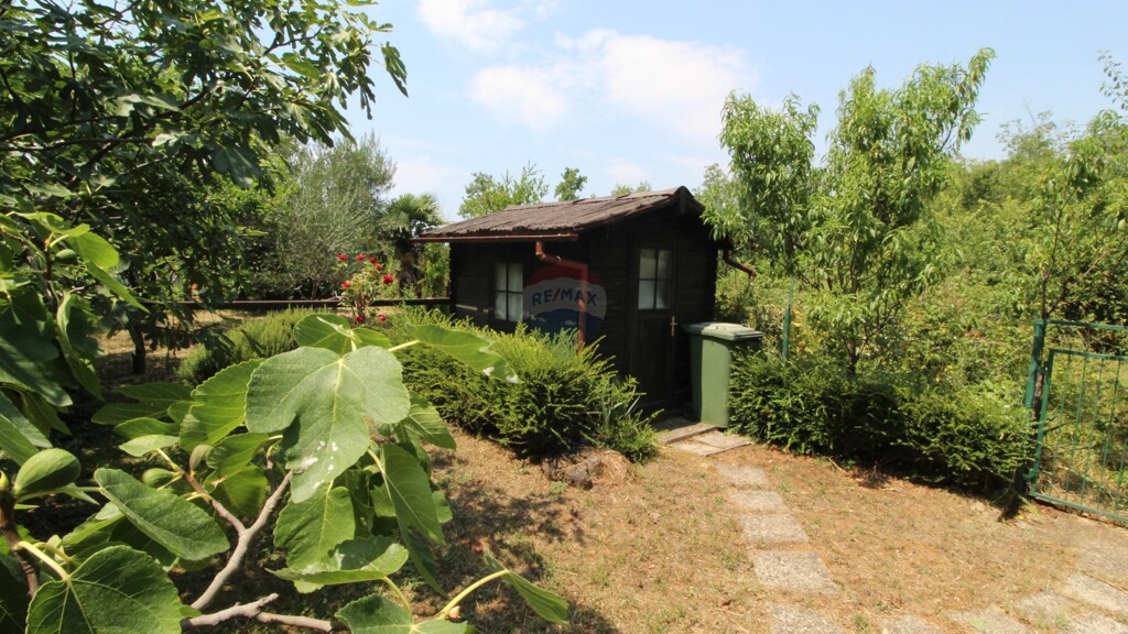 Image 5938336 - 21