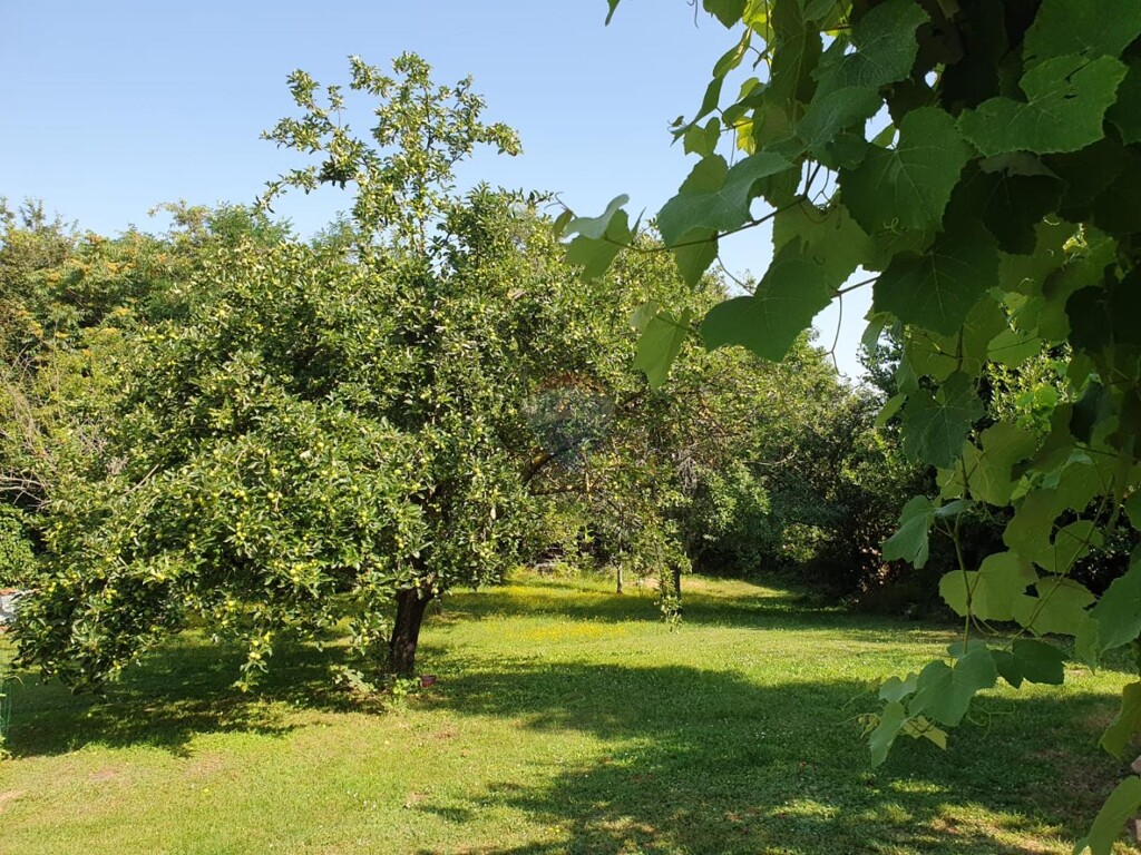 Image 5938369 - 2