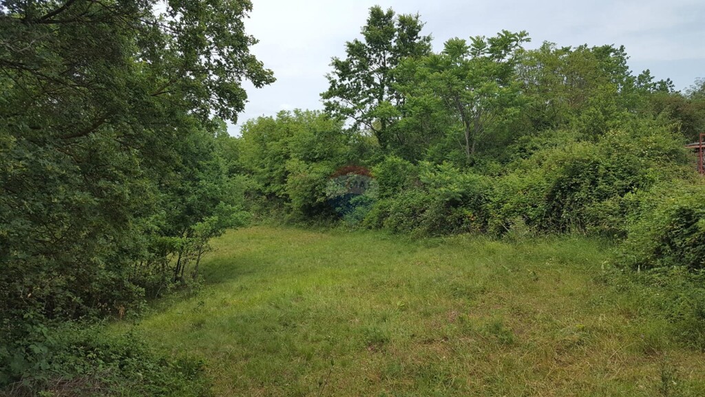 Image 5938369 - 3