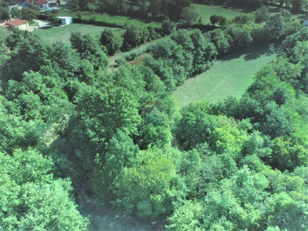 Image 5938369 - 4